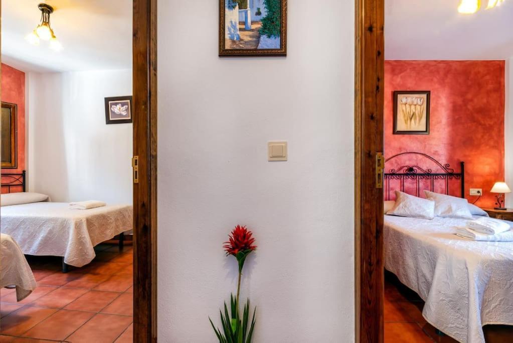 Casa Jose Capileira - Alpujarra Leilighet Eksteriør bilde